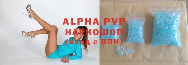 гашик Алексин