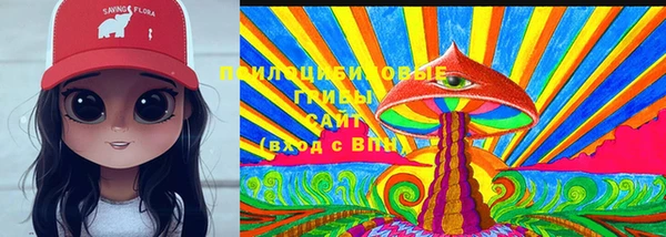 дурь Алексеевка