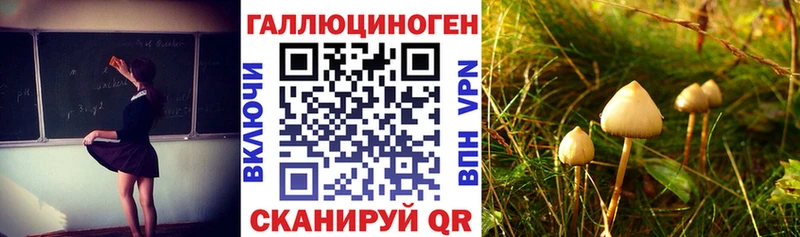 Купить где  Волчанск  Псилоцибиновые грибы Magic Shrooms 